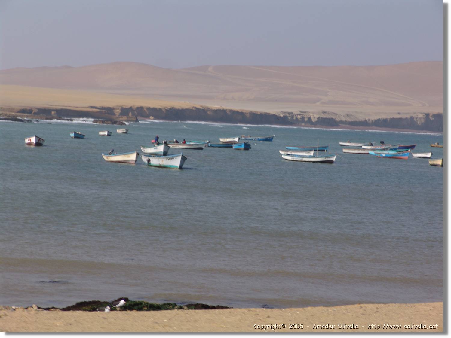 Lima_312.jpg