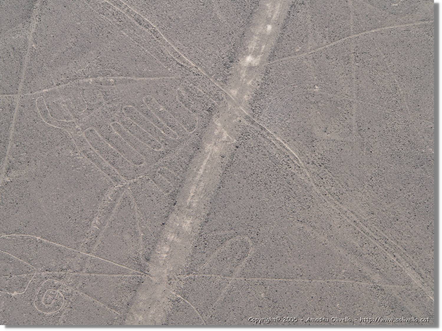 Nazca_074.jpg