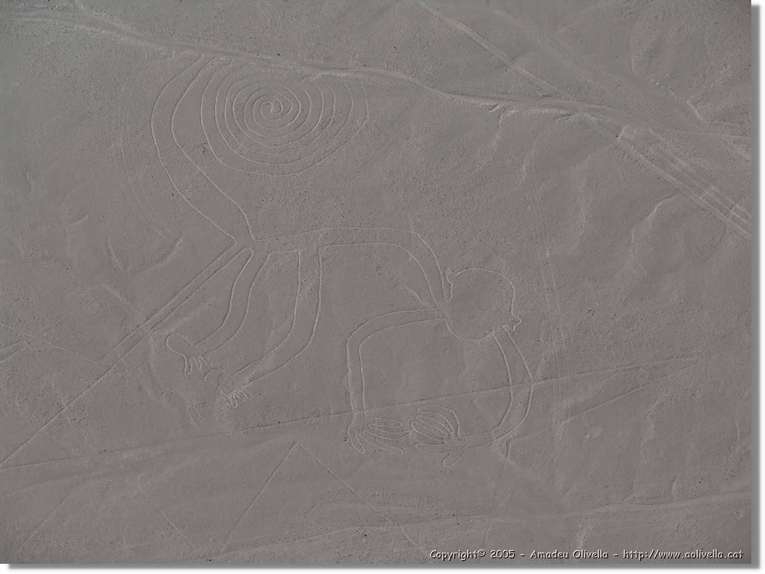 Nazca_099.jpg