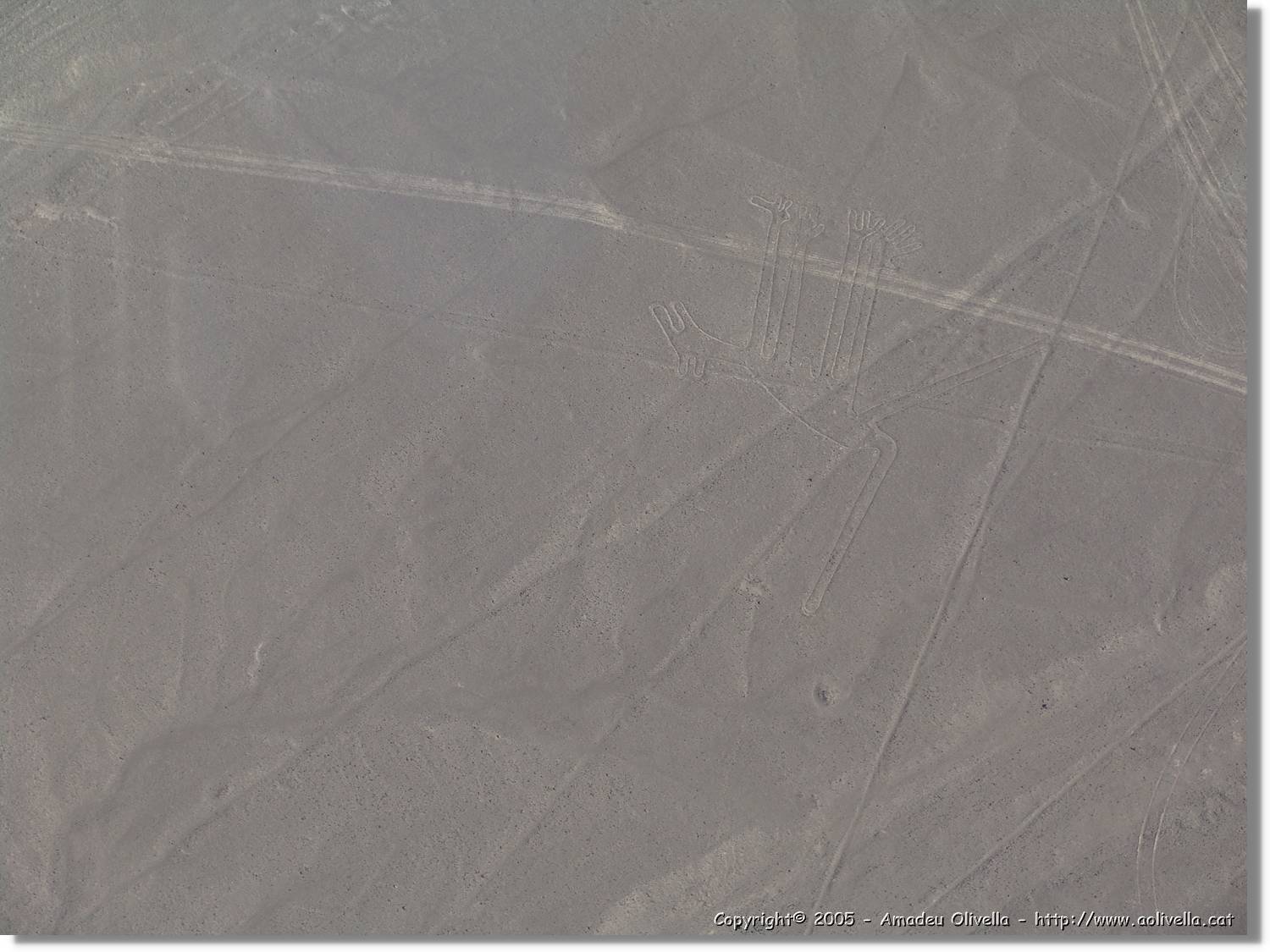 Nazca_101.jpg