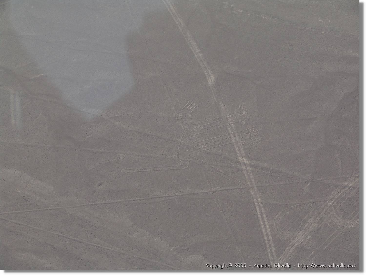 Nazca_102.jpg