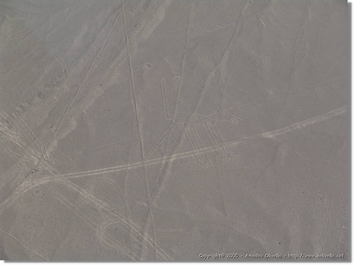Nazca_103.jpg