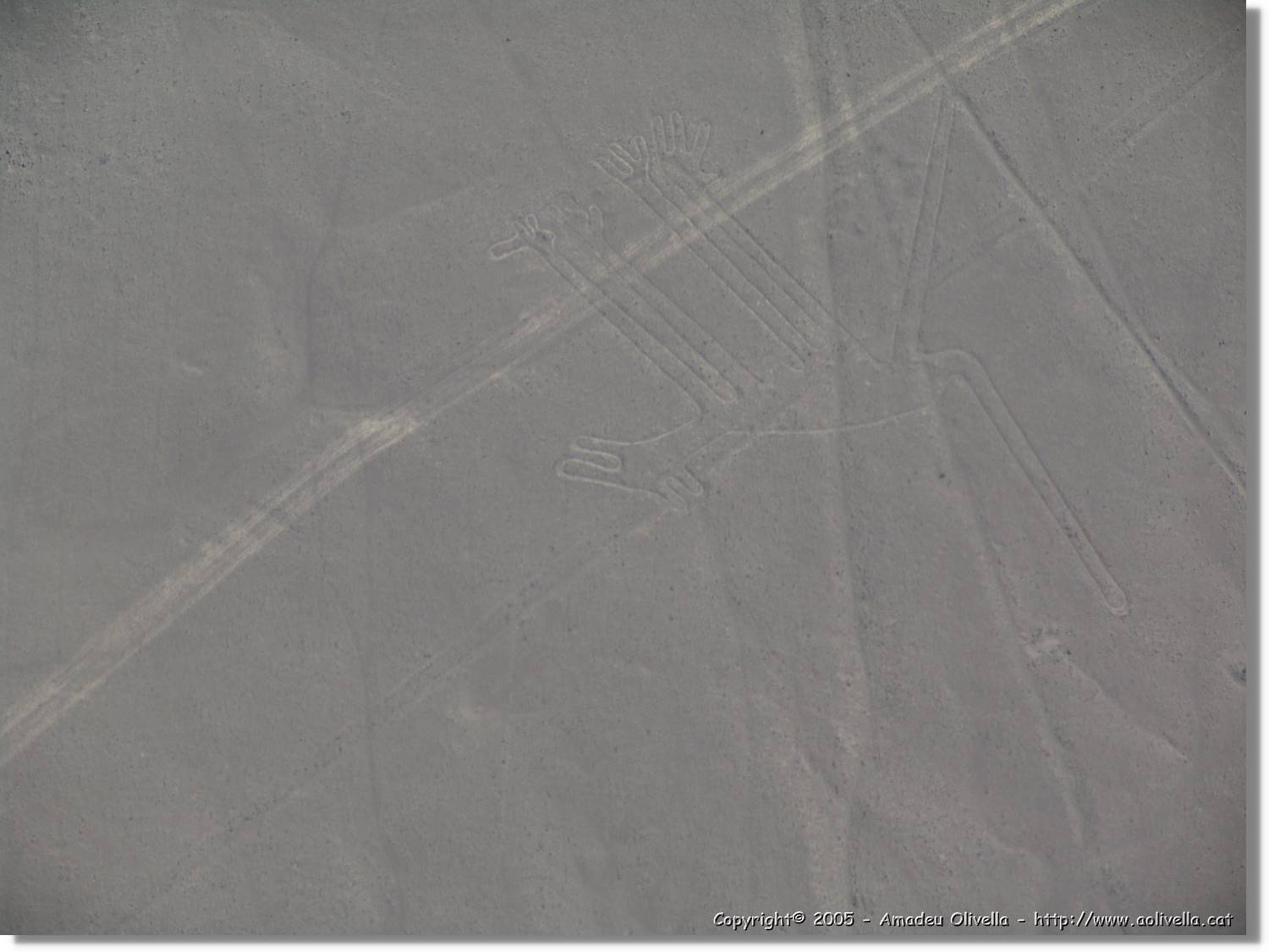 Nazca_108.jpg