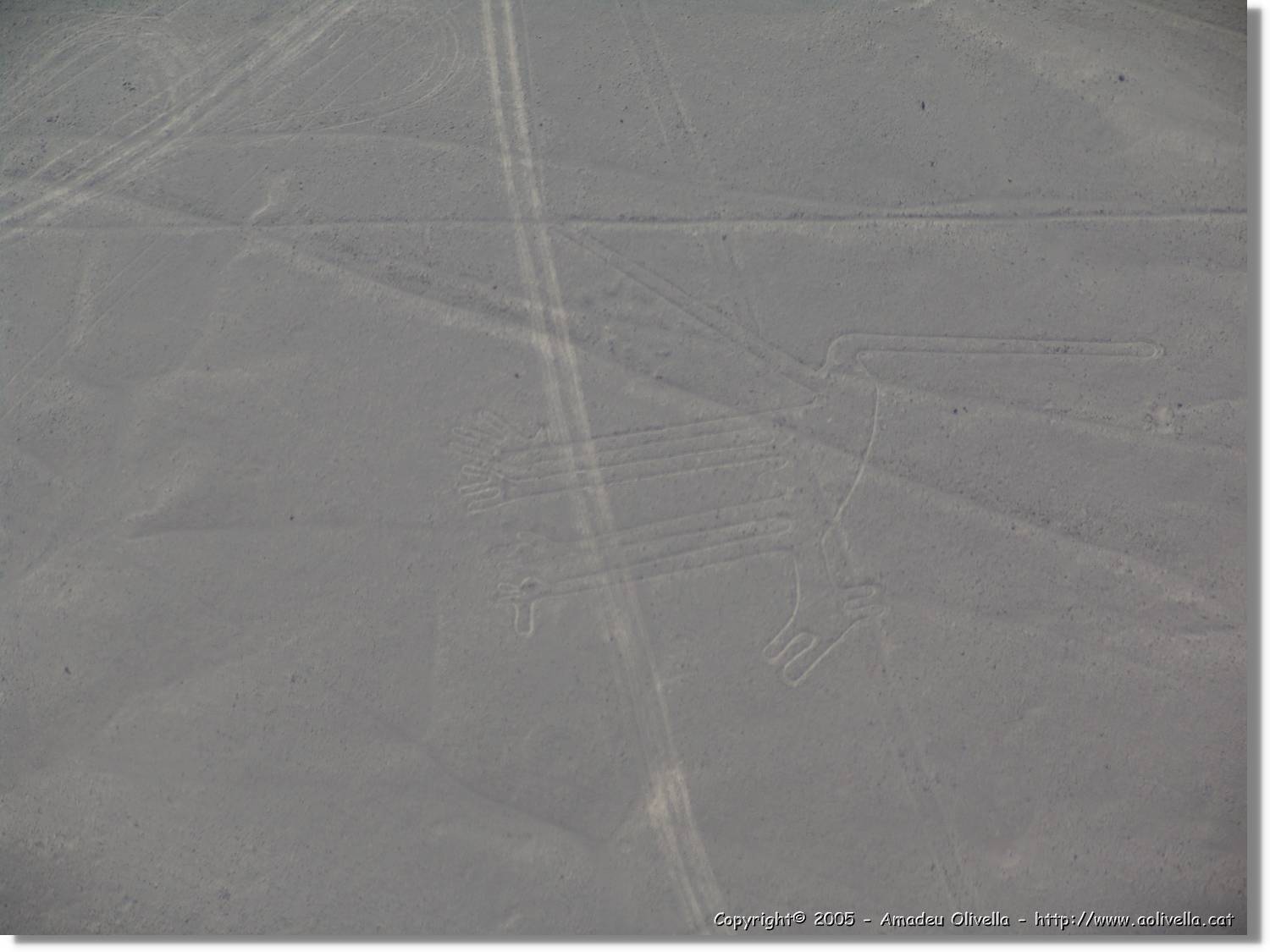 Nazca_109.jpg