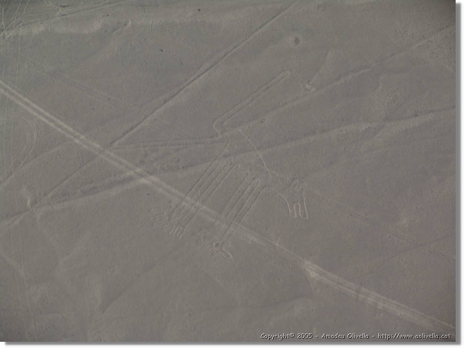 Nazca_110.jpg