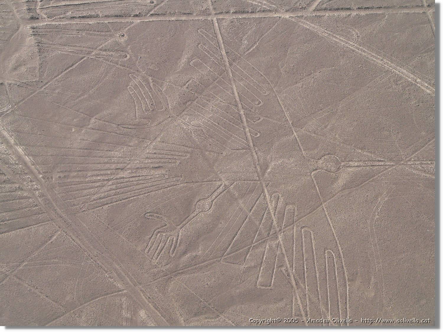 Nazca_112.jpg