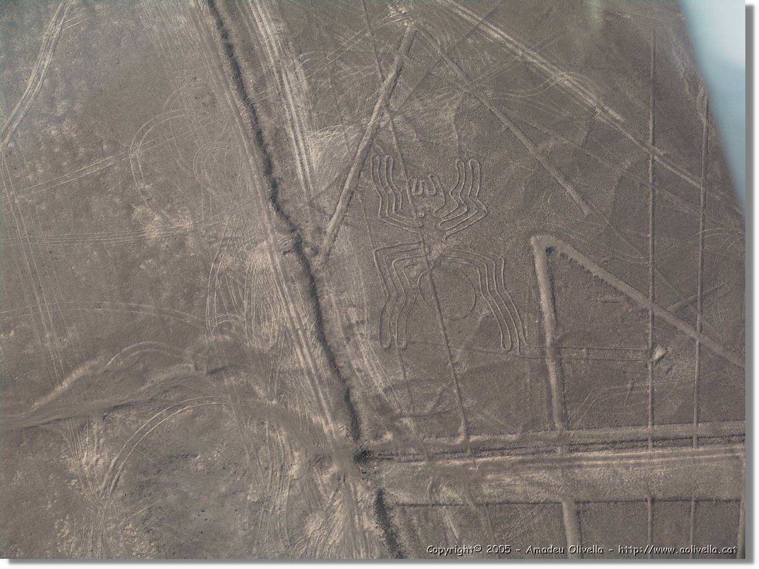 Nazca_113.jpg