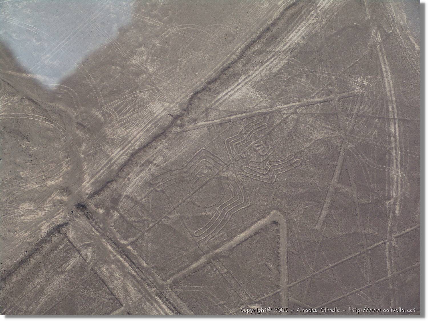 Nazca_115.jpg