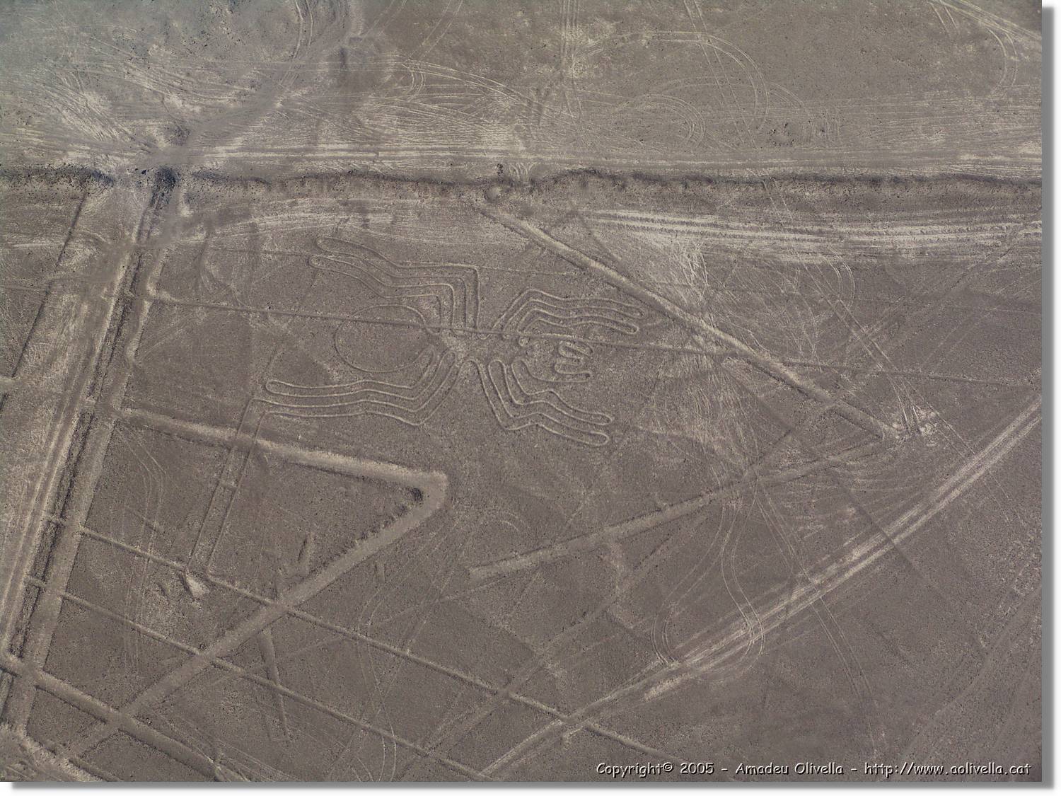 Nazca_116.jpg
