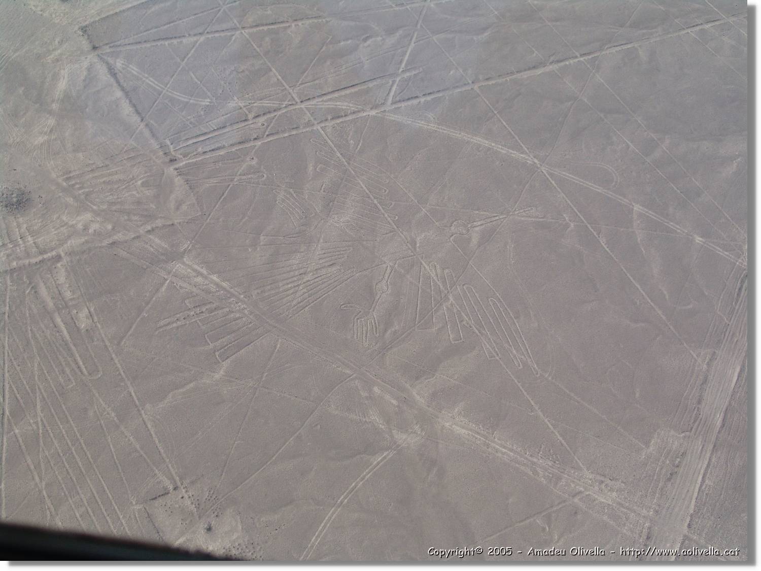 Nazca_117.jpg