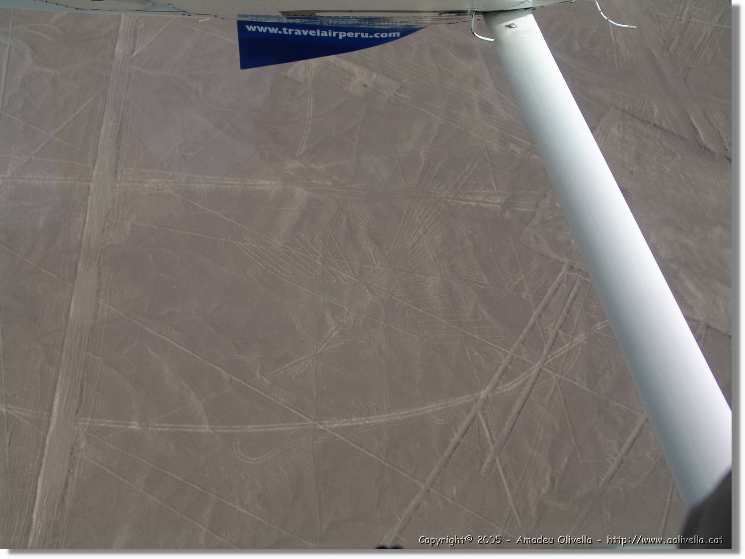 Nazca_118.jpg