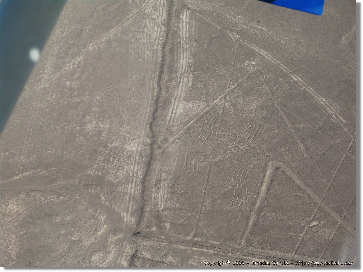 Nazca_122.jpg