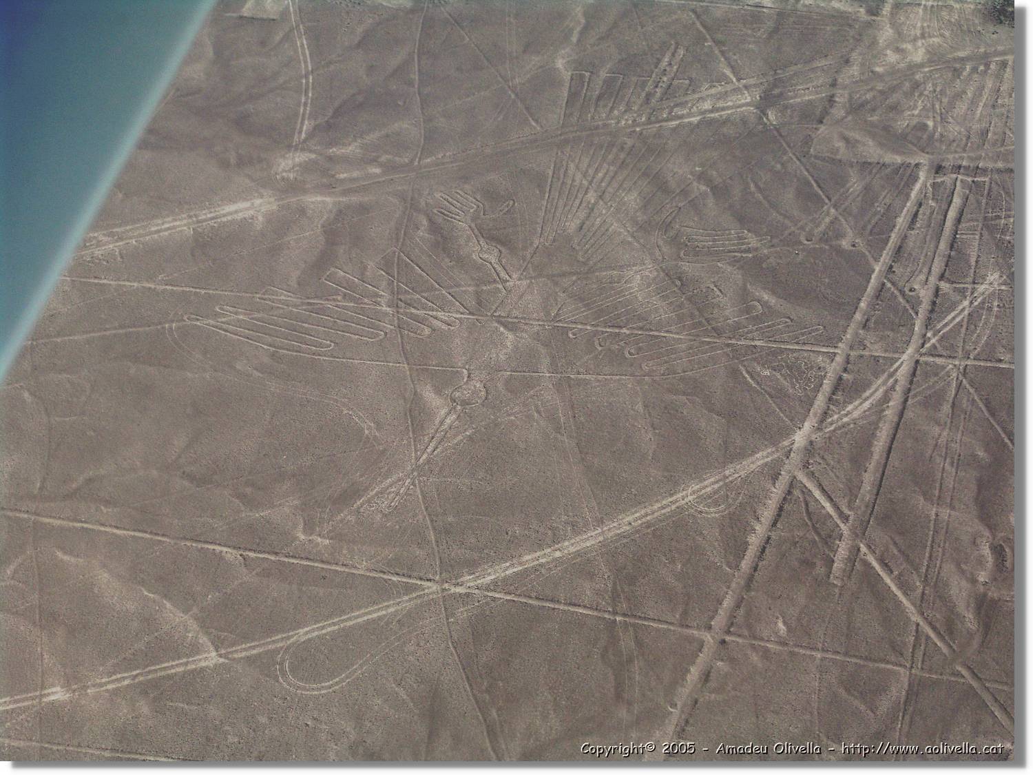 Nazca_123.jpg