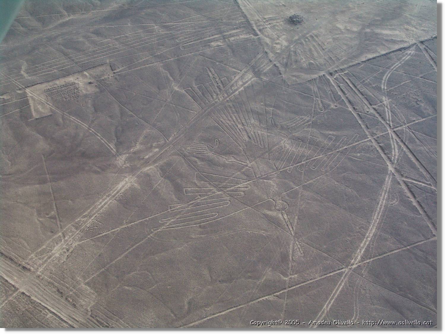 Nazca_124.jpg