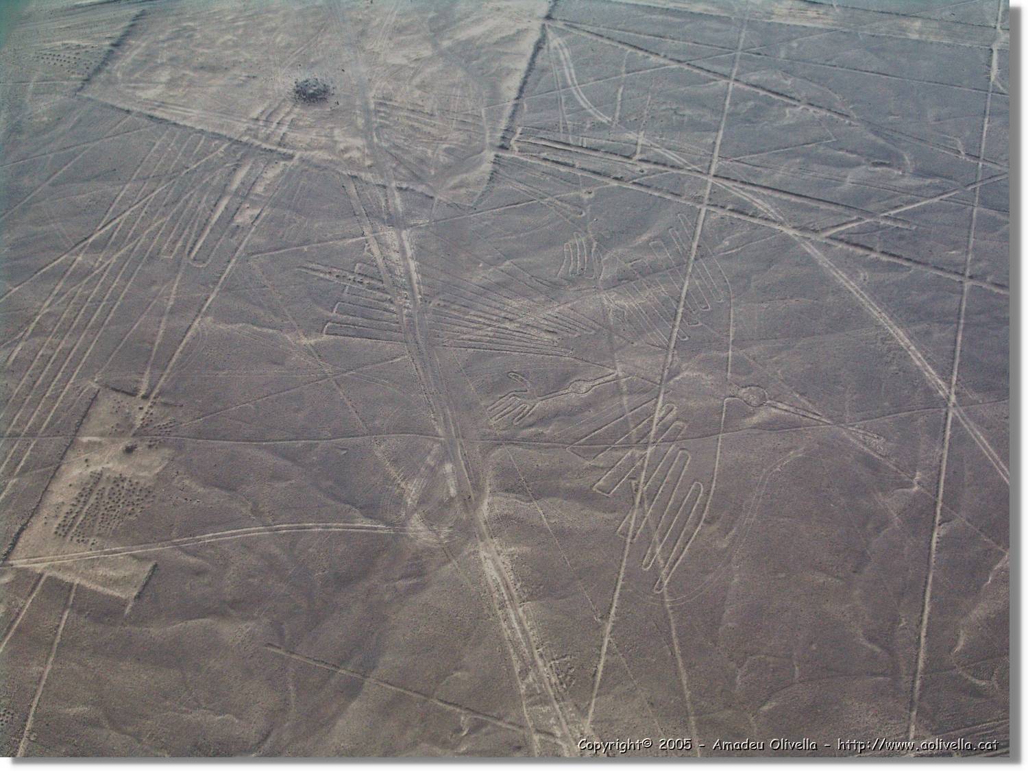 Nazca_125.jpg