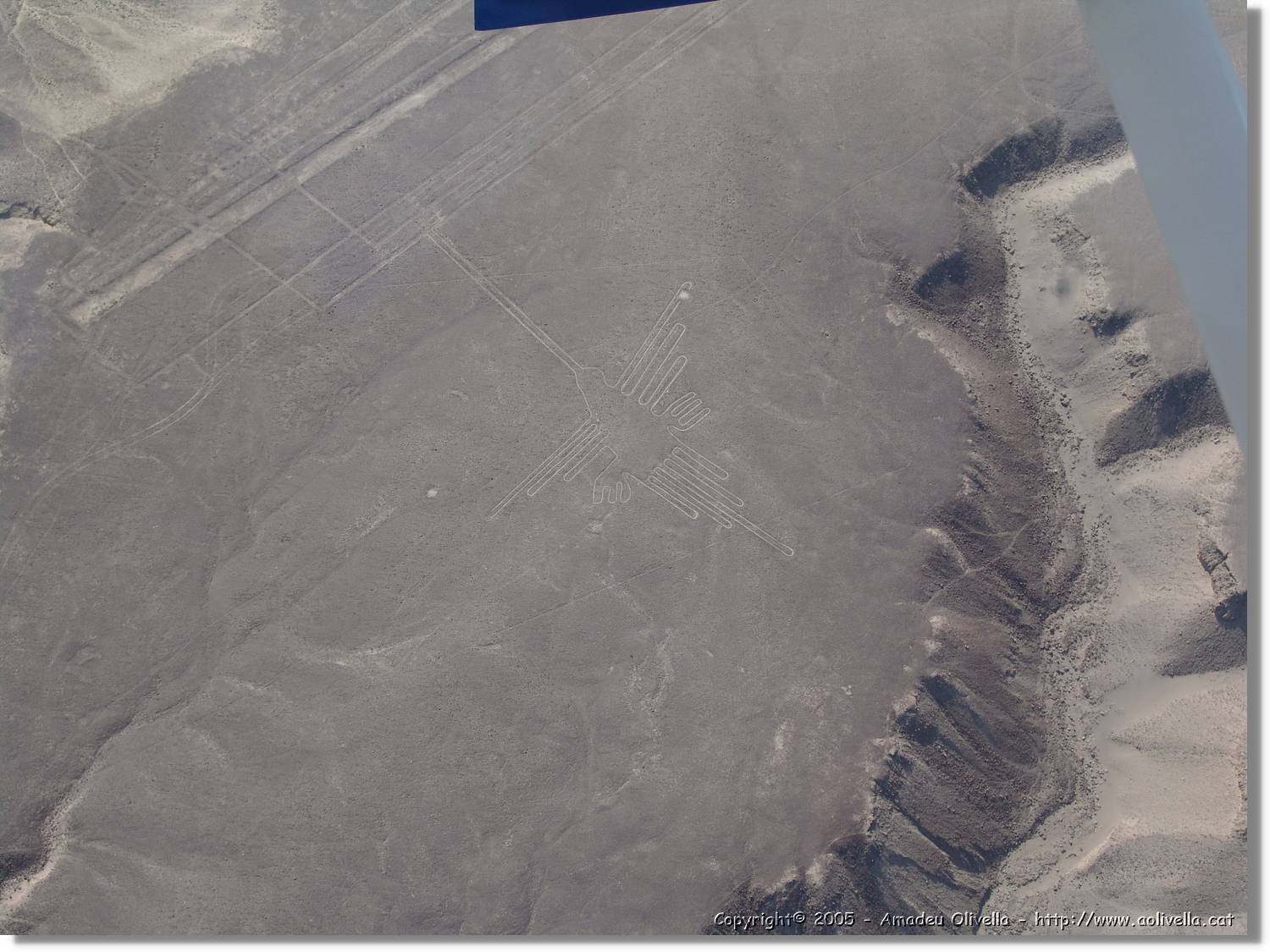 Nazca_128.jpg