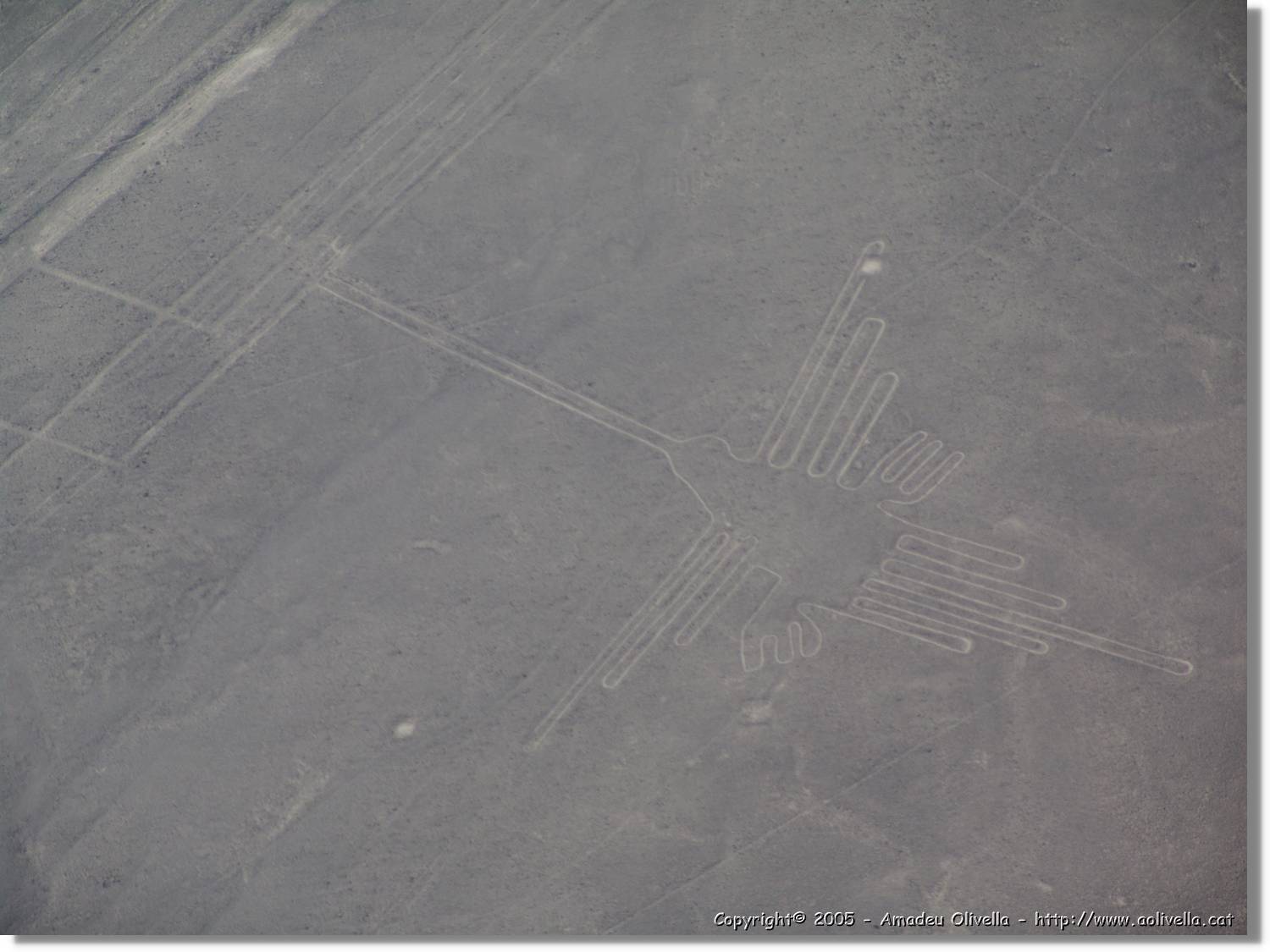 Nazca_130.jpg