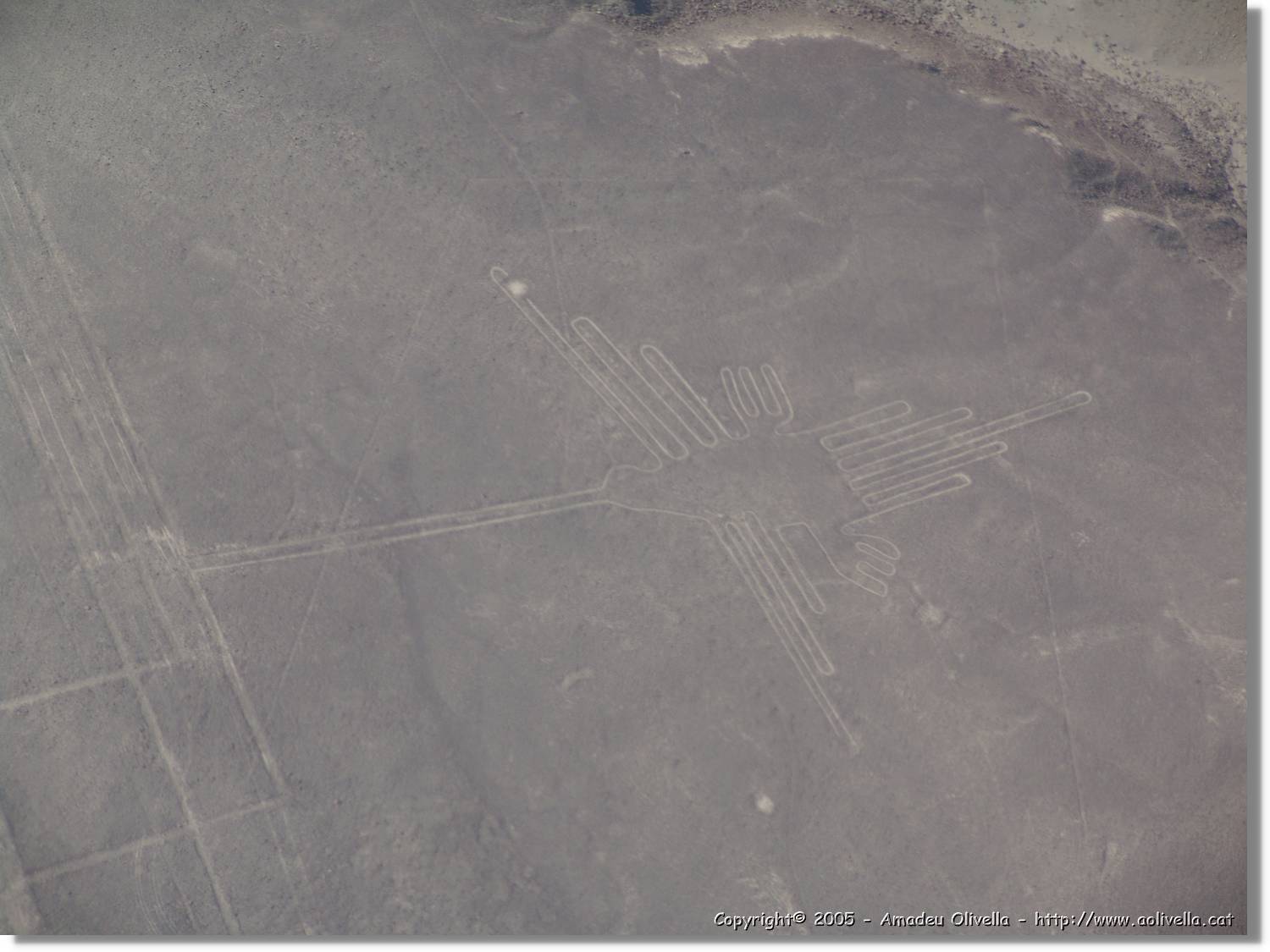 Nazca_131.jpg