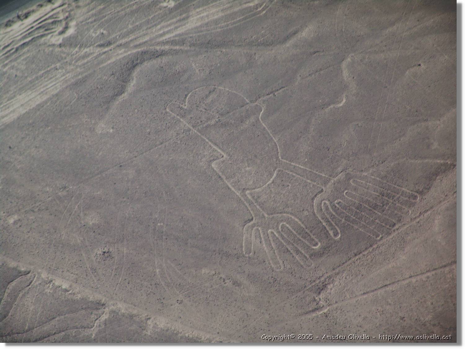 Nazca_136.jpg