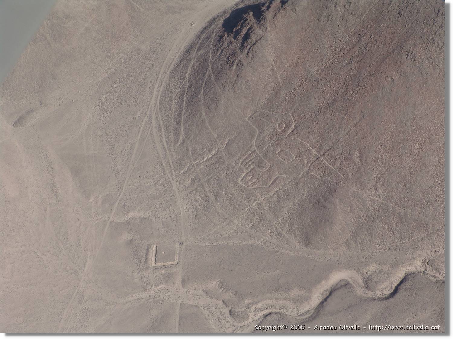 Nazca_154.jpg