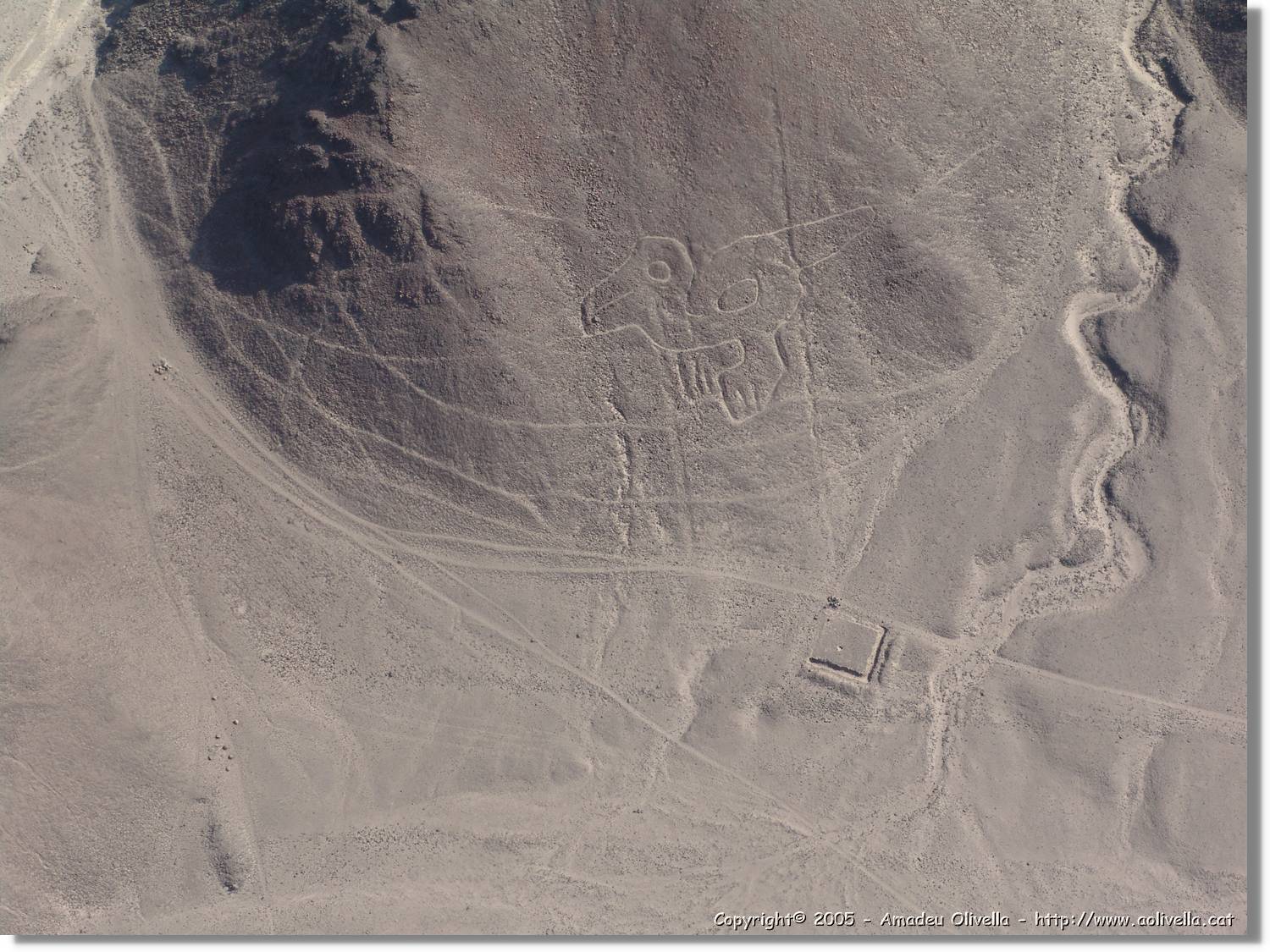 Nazca_155.jpg