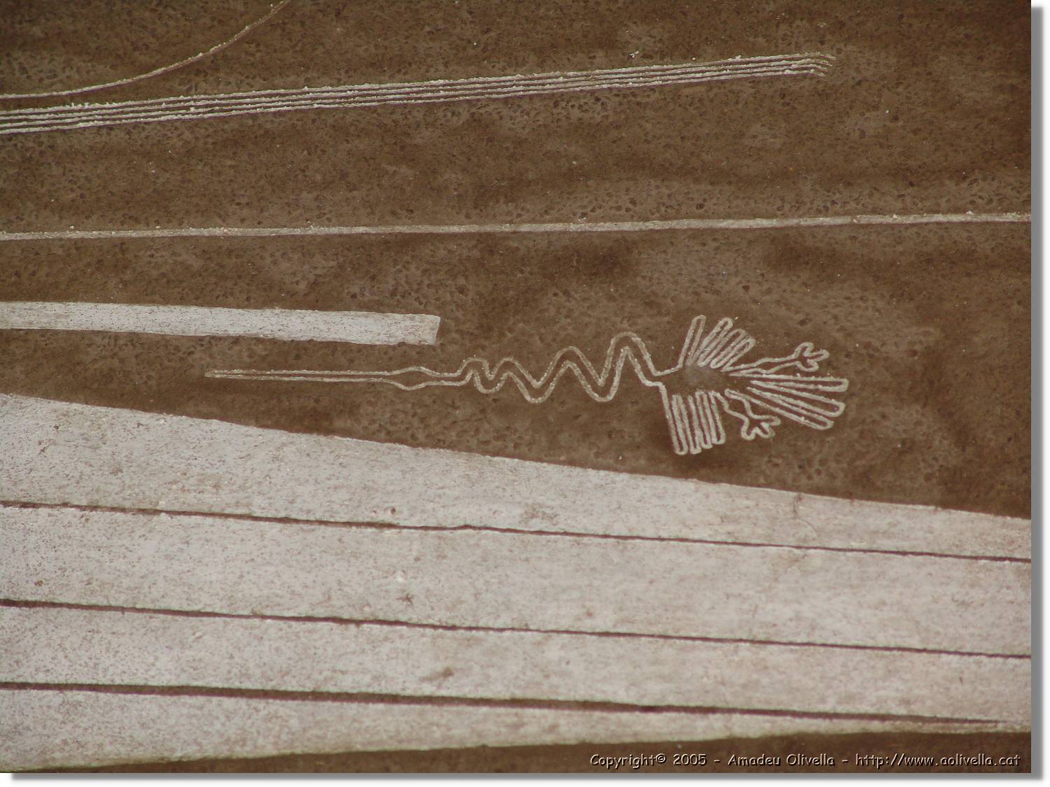 Nazca_270.jpg