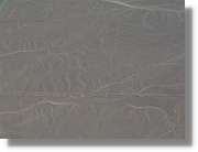 Nazca_104.jpg