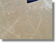Nazca_114.jpg