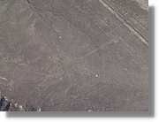 Nazca_129.jpg