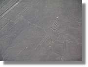 Nazca_130.jpg