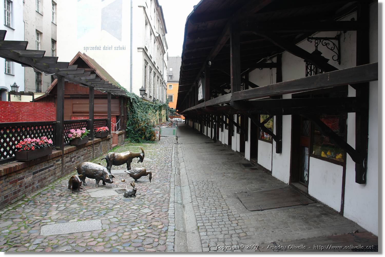 Wroklaw_078.jpg