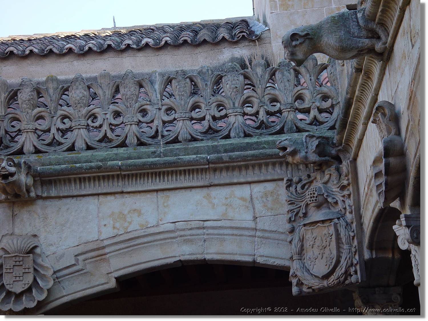Salamanca_012.jpg