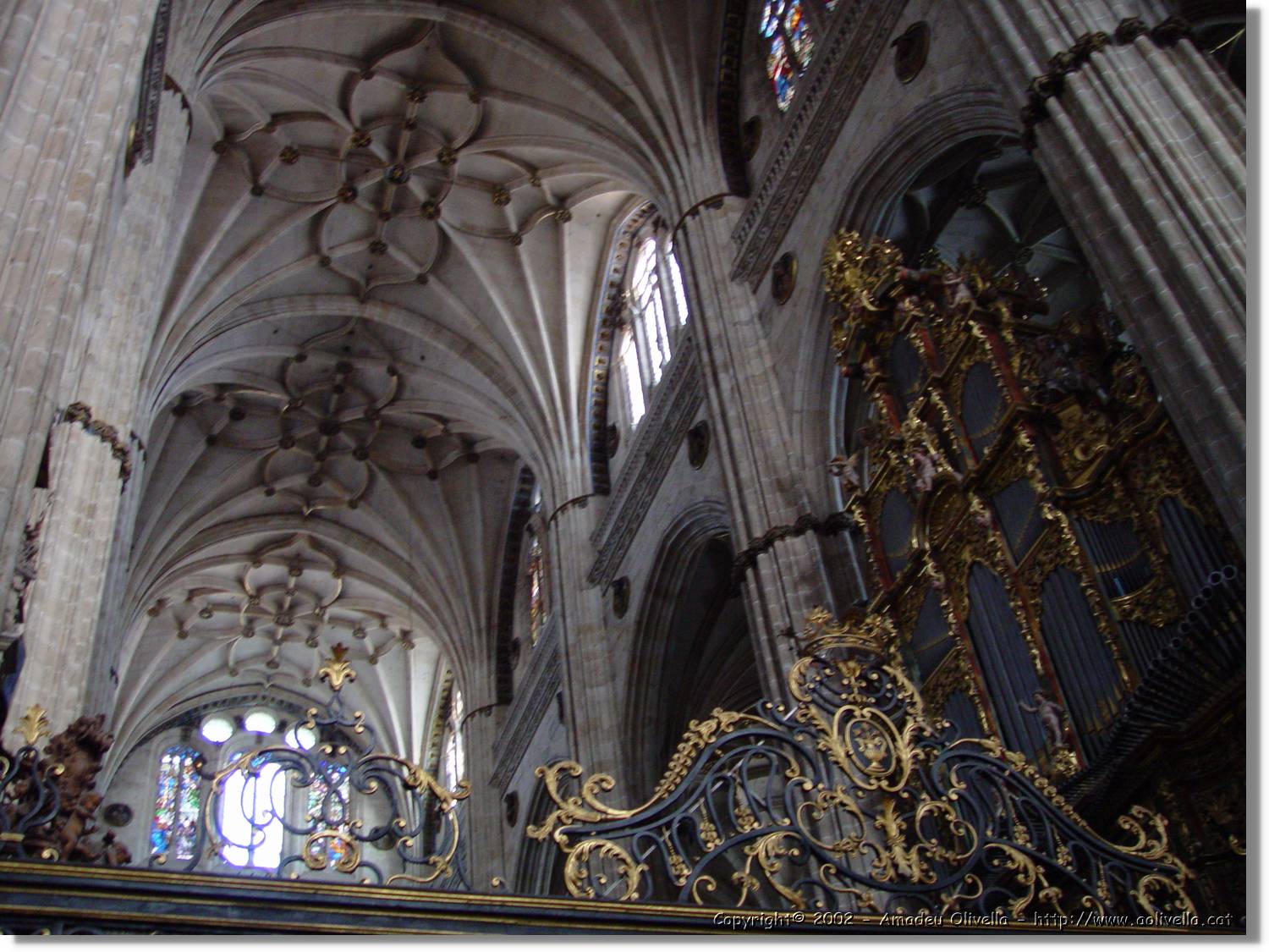 Salamanca_119.jpg
