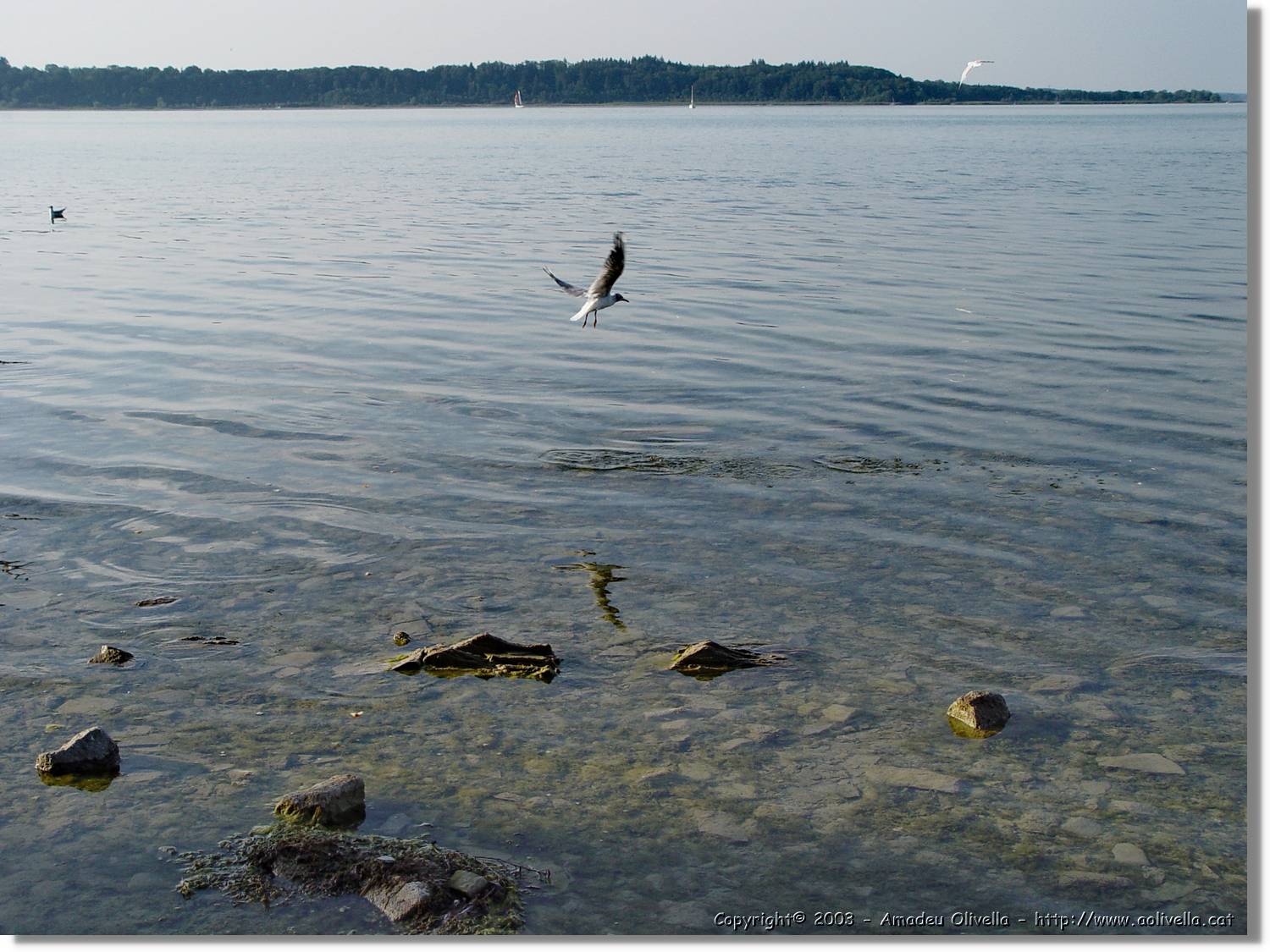 Chiemsee_002.jpg