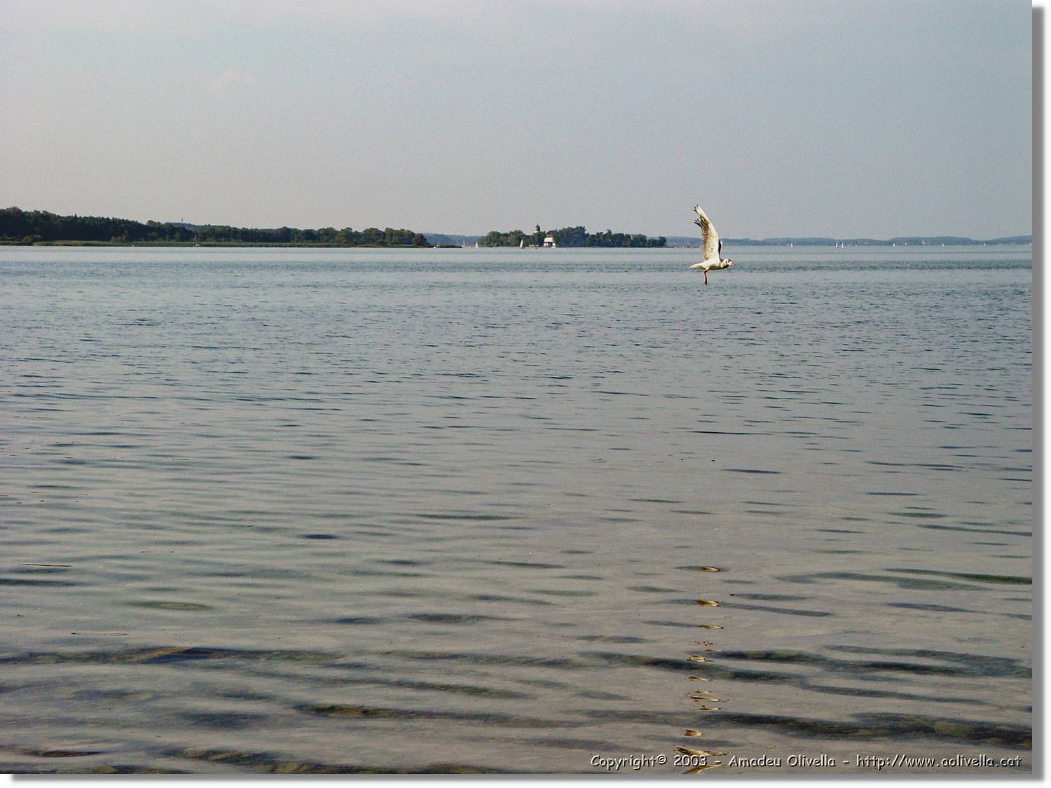Chiemsee_005.jpg