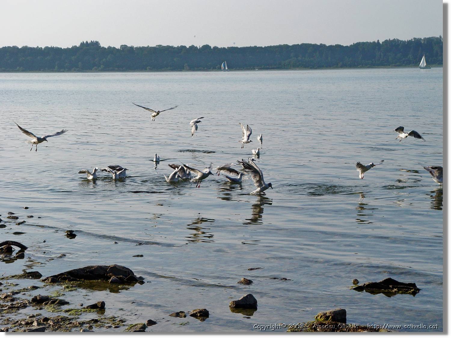 Chiemsee_008.jpg