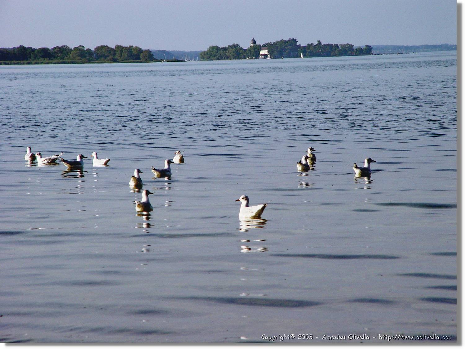 Chiemsee_011.jpg