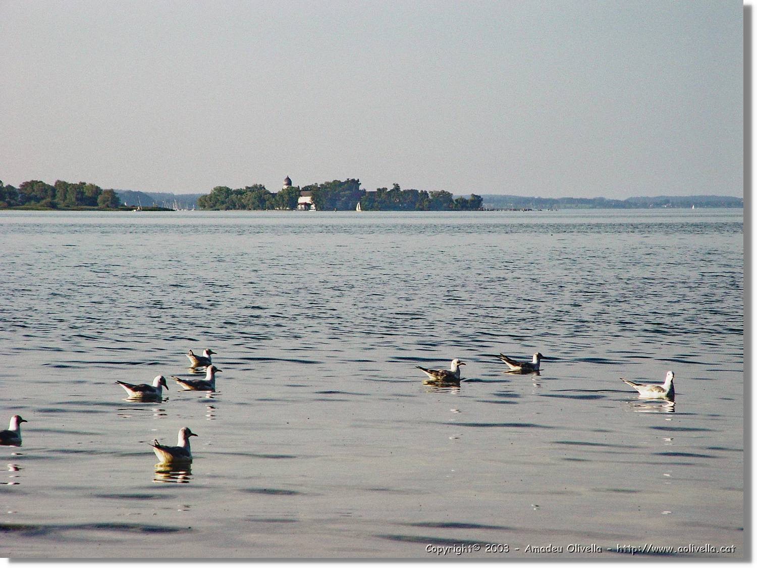 Chiemsee_012.jpg