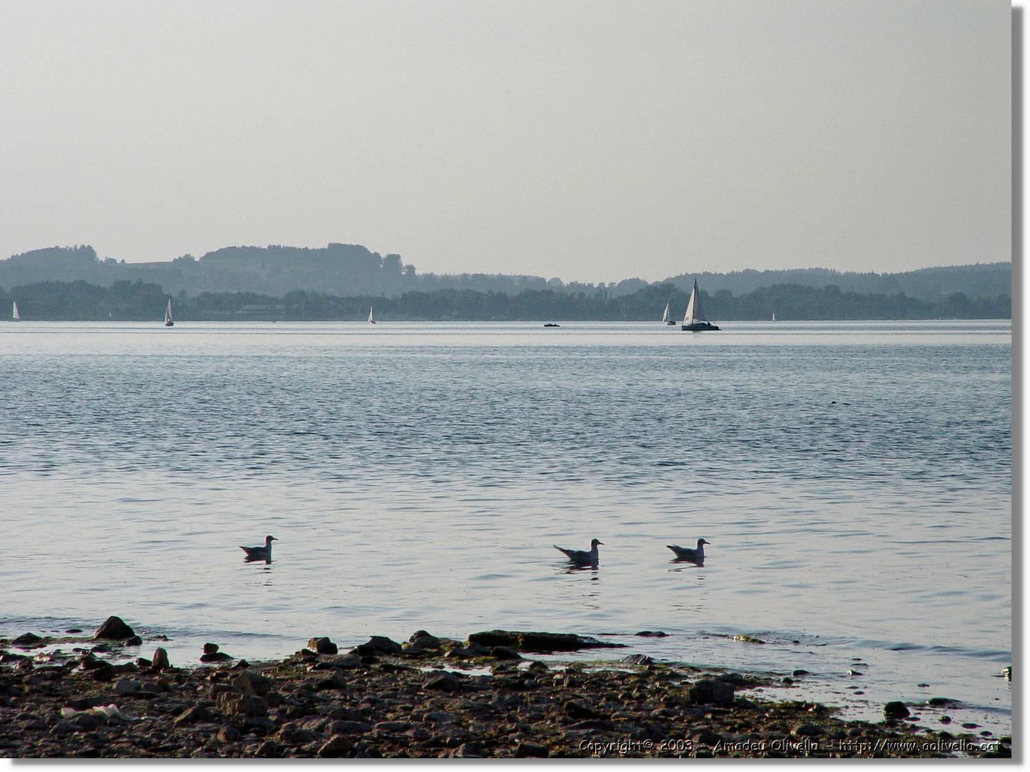 Chiemsee_013.jpg