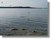 Chiemsee_001.jpg