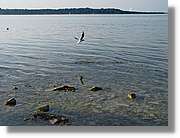 Chiemsee_002.jpg