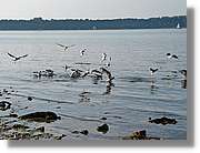 Chiemsee_008.jpg
