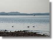 Chiemsee_013.jpg