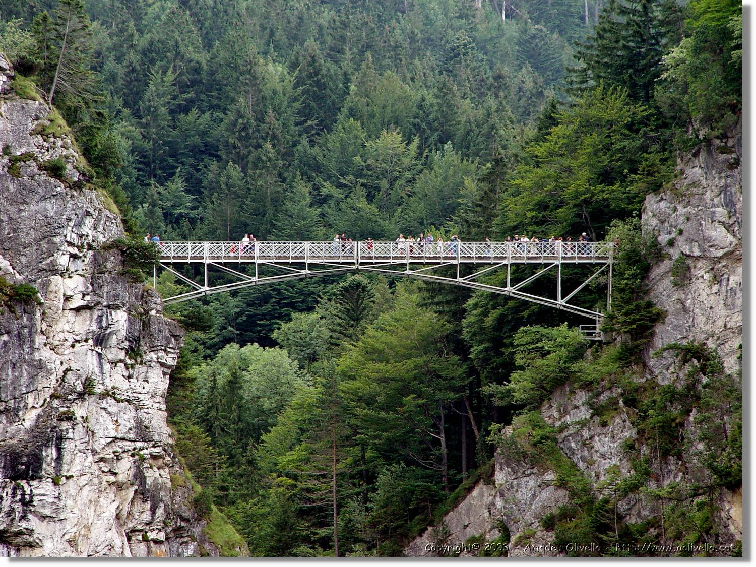Bayern_053.jpg
