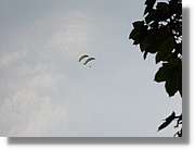 Parapent_049.jpg