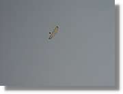 Parapent_051.jpg