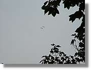 Parapent_078.jpg