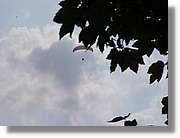 Parapent_080.jpg