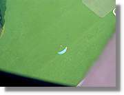 Parapent_150.jpg