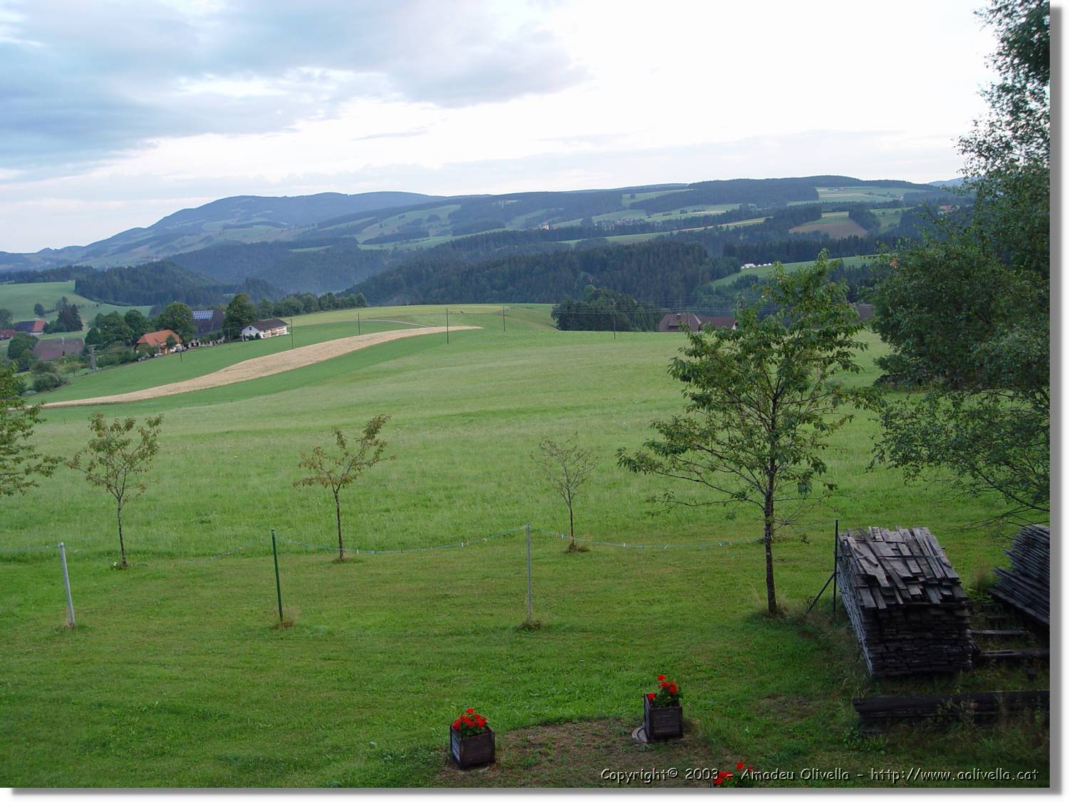 SWald_008.jpg